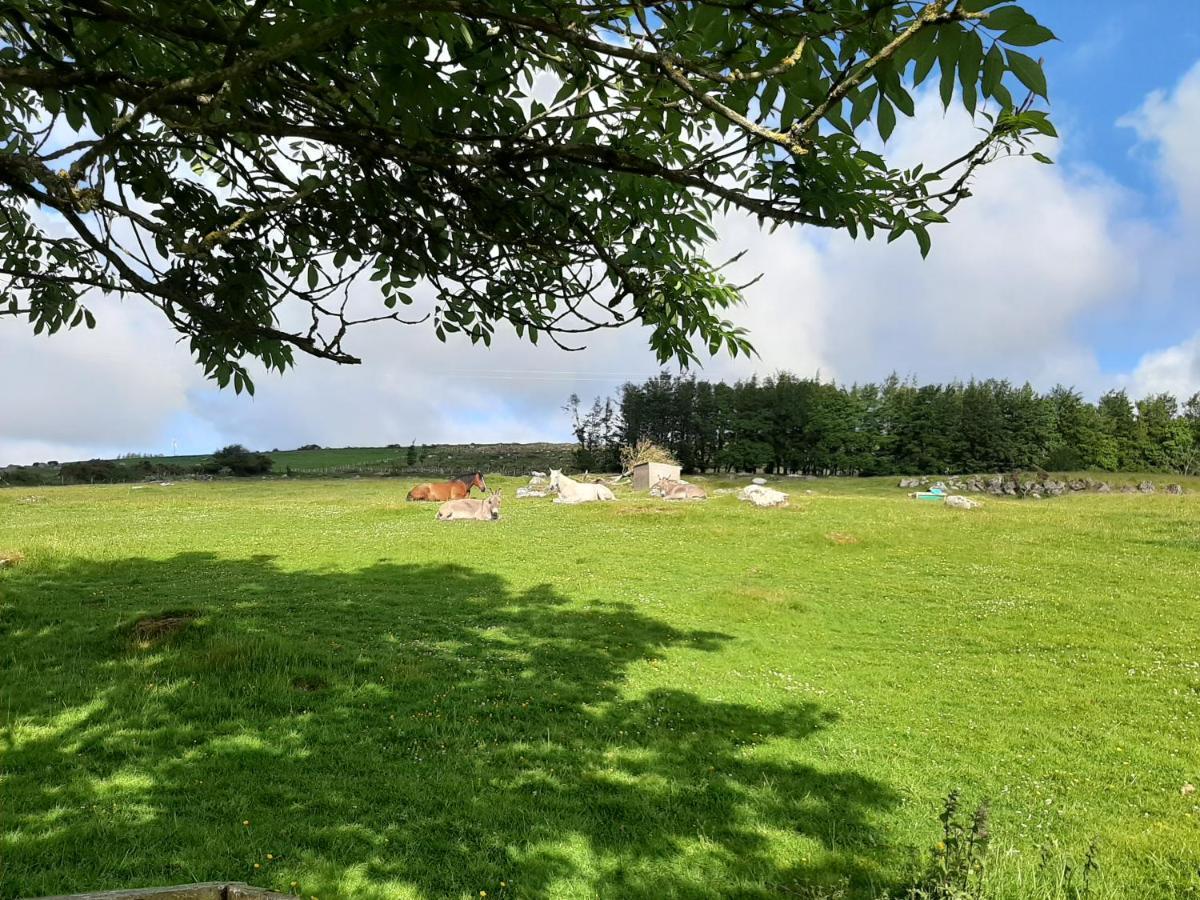 Abhainn Ri Farmhouse Blessington Exterior photo
