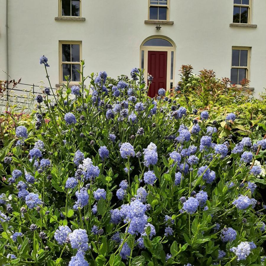 Abhainn Ri Farmhouse Blessington Exterior photo