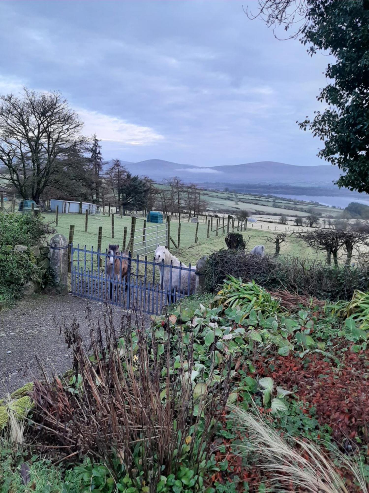 Abhainn Ri Farmhouse Blessington Exterior photo