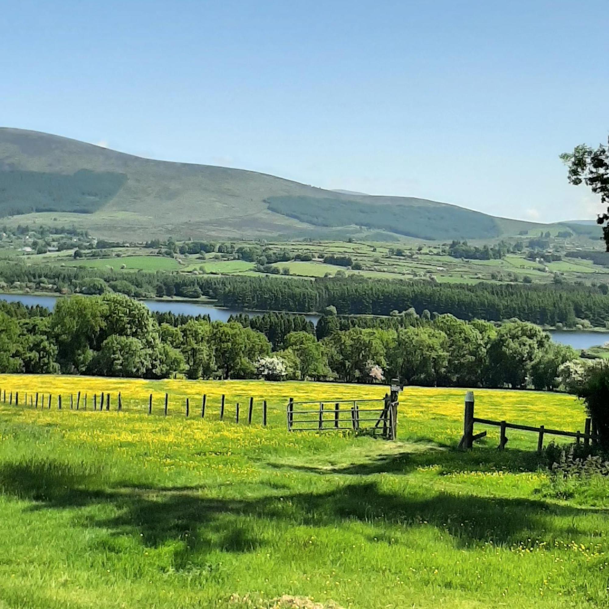 Abhainn Ri Farmhouse Blessington Exterior photo
