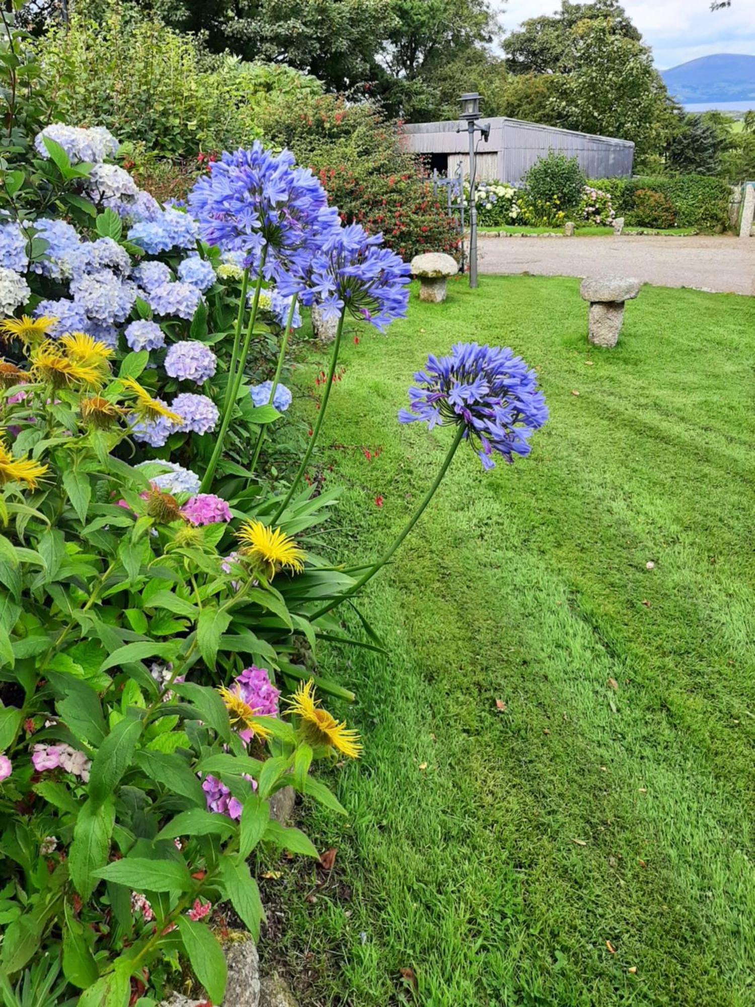 Abhainn Ri Farmhouse Blessington Exterior photo