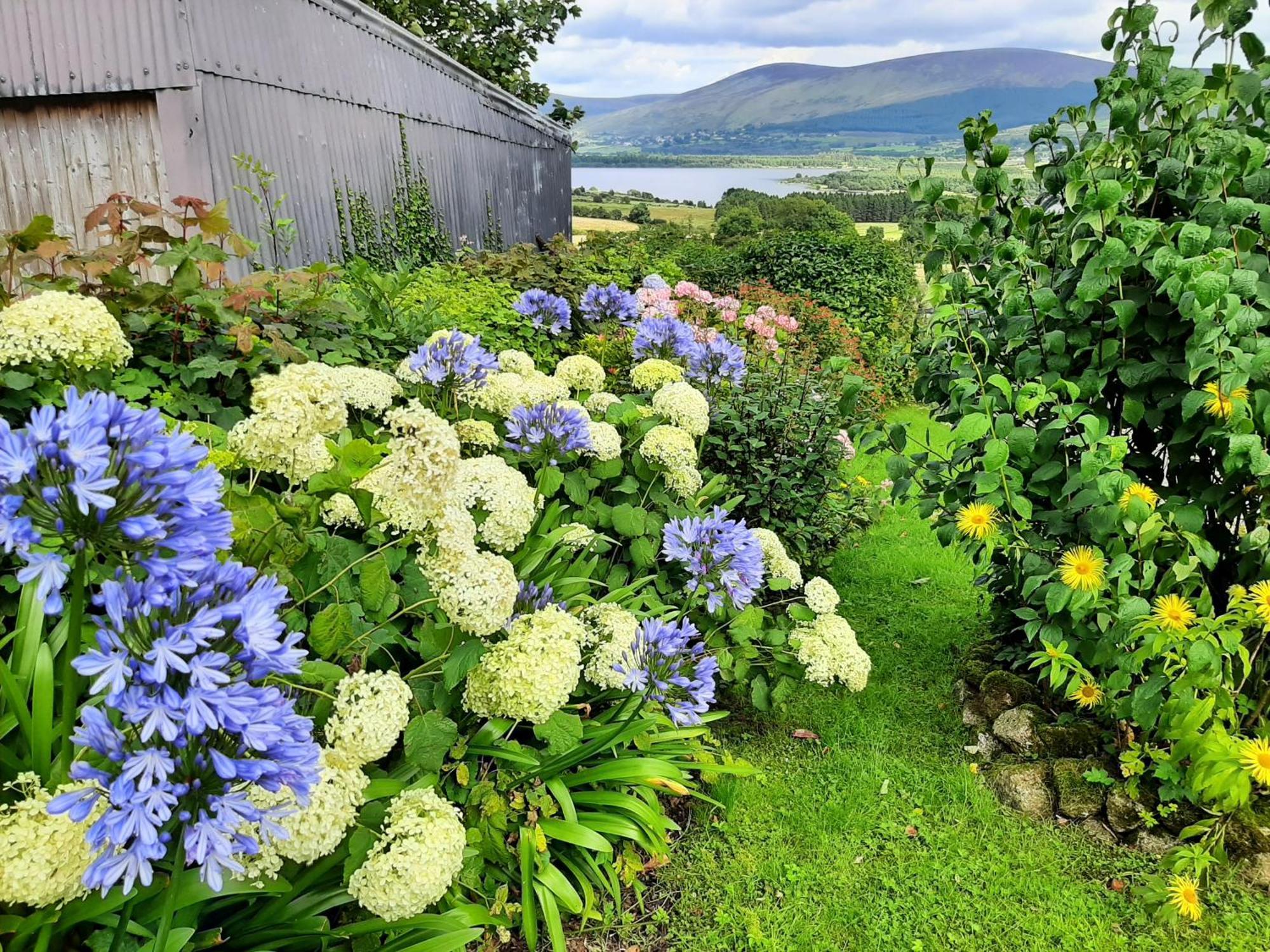 Abhainn Ri Farmhouse Blessington Exterior photo